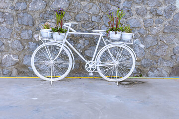 White decorative bicycle adorned with flowerpots displayed against stone wall background. Design concept for embankment, entrance to cafe, small shop, in spring