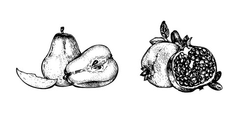 Sweet pear and red pomegranate on white background. Vector illustration. Ink line draw vector. Drawing engraving illustration