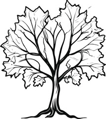 Obraz premium Maple Tree Crown Outline Black Line Drawing for Seasonal Icon and Logo 2