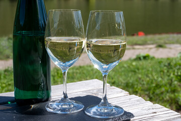 Drinking German dry white riesling wine with view on terraced vineyards in Punderich wine willage on Moselle river valley, wine making industry in Germany, glasses of wine