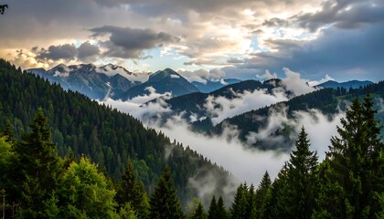 Majestic mountain range shrouded in mist