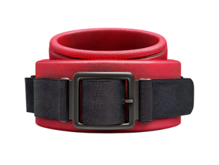 Weightlifting Belt