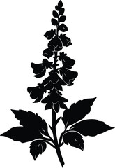 Snapdragon Stalk Silhouette | Snapdragon Flower Stalk Silhouette