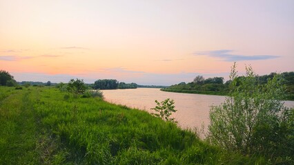 Alder and bushes grow on the grassy bank of the river, and deciduous forest on the far bank The trees and sky are reflected in the water The setting summer sun still colors the sky and feathery clouds