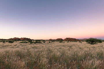 Sunrise over Damaraland savanna in Namibia