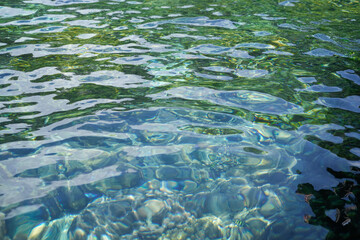 clear water scene with tropical fish and underwater reflections