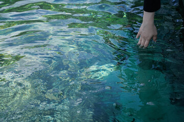 clear water scene with tropical fish and underwater reflections