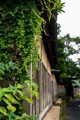 Fototapeta premium 鎌倉2594 二階堂1 街角