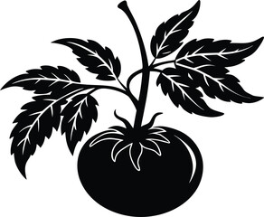 Tomato Sprig Silhouette