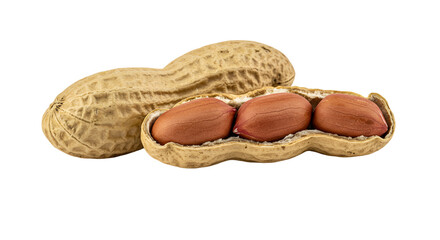 Peanut Duo Whole Shell and Exposed Kernels on Beige Background