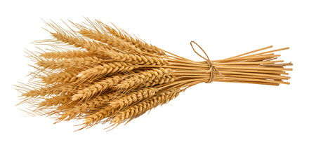 Golden Sheaf of Wheat Tied with Twine on a Warm Earth toned Background © mastyo