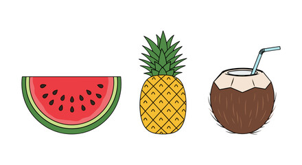 Illustration of a watermelon slice pineapple and a coconut drink with a straw on a white background