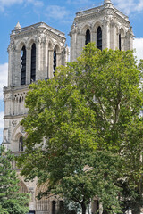 Kathedrale Notre-Dame-de-Paris nach der Wiederer&ouml;ffnung