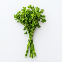 Fresh Green Herb Bunch Displayed on White Background for Culinary Use