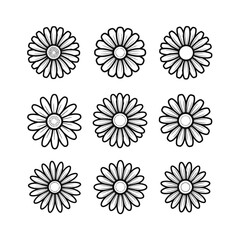 Nine detailed daisy illustrations, each with a central disc and surrounding petals, in a simple black and white style.