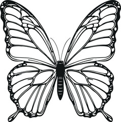 Fototapeta premium Butterfly bold outline black line art with symmetrical thick wings on plain white background