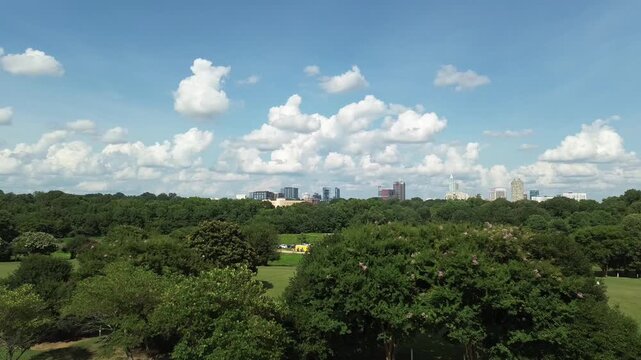 Aerial view of the Dix Park sunflowers field and Raleigh skyline