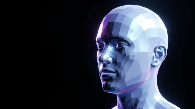 LowPoly Humanoid digital visage modern design