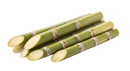 Stacked Fresh Sugarcane Stalks Showcase Natural Cuts on a Green Surface