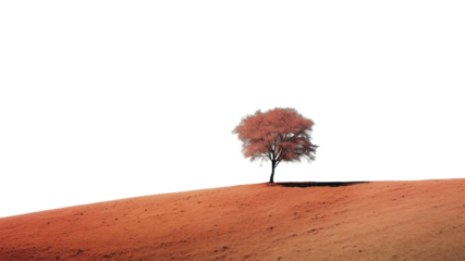 PNG A lone tree sitting on top of a hill landscape outdoors horizon.