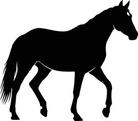 Obraz premium elegant black horse silhouette majestic stallion, symbol of freedom and grace, isolated on transparent background