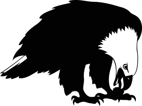 Majestic Eagles clip art preview