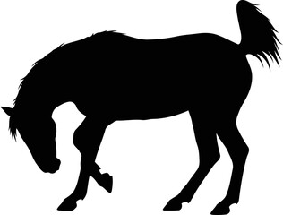 Obraz premium majestic horse silhouette a icon of gentle strength and timeless grace, isolated on transparent background