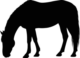 Obraz premium serene black horse silhouette a peaceful pasture, emblem of tranquility and rural serenity, isolated on transparent background