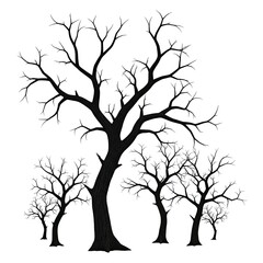 Obraz premium Silhouette of bare deciduous trees in winter against a white background.