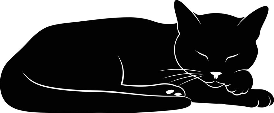 猫のシルエット」の写真素材 | 1,144,522件の無料イラスト画像 | Adobe