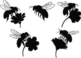 Naklejka premium bee, pollination, silhouette, flower, insect, nature, wildlife, ecology, nectar, botanical, garden, spring, summer, bloom, environment, biodiversity, winged, macro, black, vector