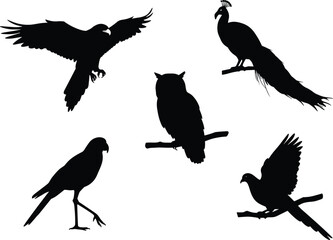 Silhouette birds, flying hawk, perched peacock, owl on branch, parrot standing, dove wings spread, wildlife illustration, black bird shapes, vector art