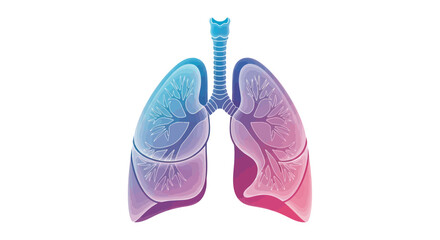 Anatomical lungs representation with intricate tree-like structures and gradient colors