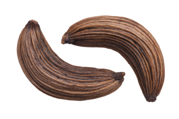 Close-up of brown curved dry seeds on white background