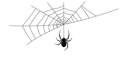 A black spider hangs from a single silk thread below its intricate, symmetrical spiderweb.