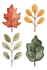 Naklejka premium Watercolor illustration featuring four autumn leaves in warm hues of red, orange, yellow, and green, arranged against a clean white background with delicate vein details.