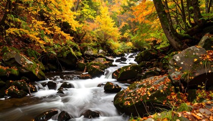 Autumnal stream flowing through a colorful forest