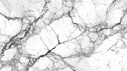 Obraz premium Premium white marble slab featuring beautiful organic gray and black veining, an abstract surface