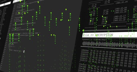 Dual monitors displaying File  ENCRYPTION text, binary and hex dump in lab, with progress bar