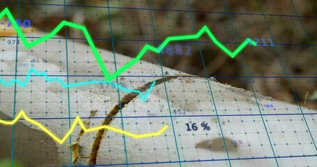 Fototapeta premium Tree trunk cross-section featuring growth rings and crack in forest, with blue grid and data charts