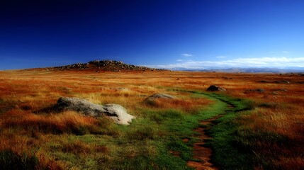 Winding Trail Through a Green Meadow Towards Mountains