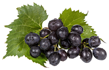 PNG Black grapes chandelier ammunition blueberry.