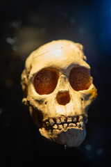 Obraz premium skull on a black background