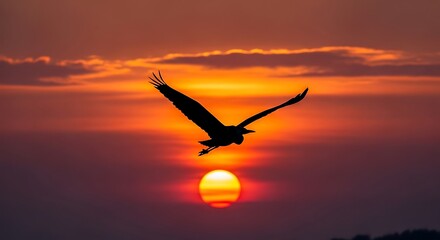 Silhouette of a bird flying across a vibrant sunset sky with orange and red hues at dusk time