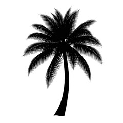 Black palm tree silhouette isolated on white background