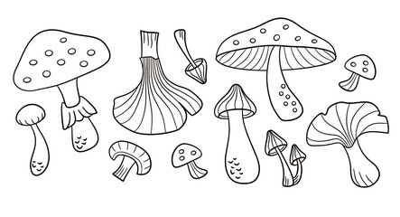 Mushroom hand drawn illustration collection. Variation of mushrooms icon doodle vector background.