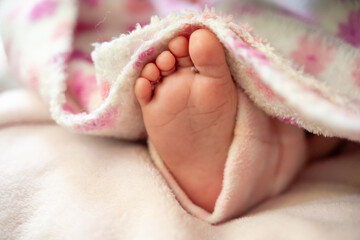 baby feet with pink blanket