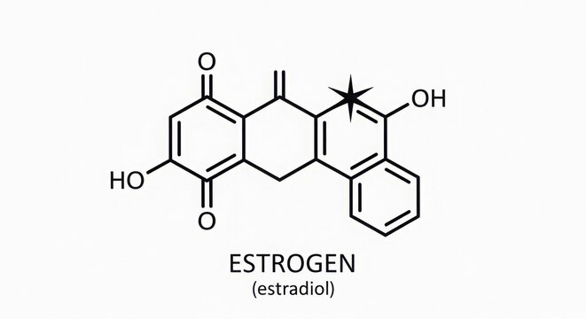 Illustration of the chemical structure of estrogen estradiol on a white background image