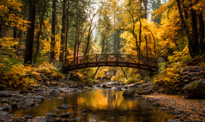 Scenic wooden bridge arching over a gentle stream in an autumn forest filled with golden yellow leaves and tall trees.
