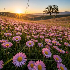 A vast field of vibrant pink flowers blankets a hillside at sunrise, showcasing a serene and picturesque landscape.